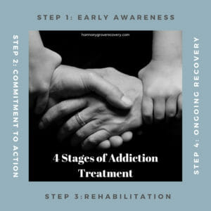 opiate-detox-and-alcohol-detoxification-centers-in-San-Diego-California-300x300 Best Drug Rehab Centers Professionals Should Visit in 2021