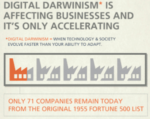 digital-Darwinism-affecting-drug-rehab-SEO-and- marketing