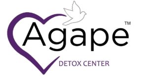 agape-opiate-drug-and-alcohol-detox-centers-port-st-lucie-florida-1-2-Copy-Copy-300x163 Best Drug Rehab Centers Professionals Should Visit in 2022